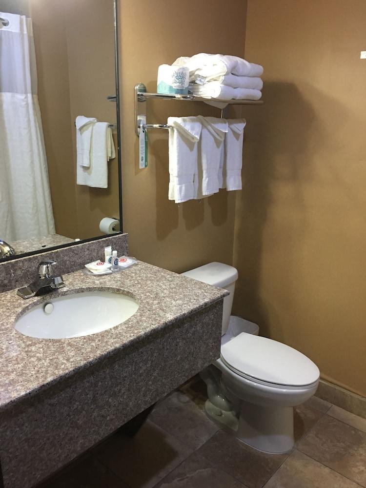 Comfort Suites Pflugerville - Austin North Esterno foto